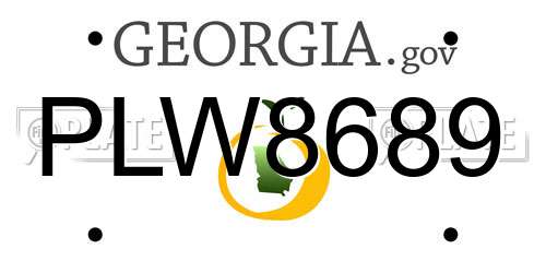 PLW8689 Georgia License Plate