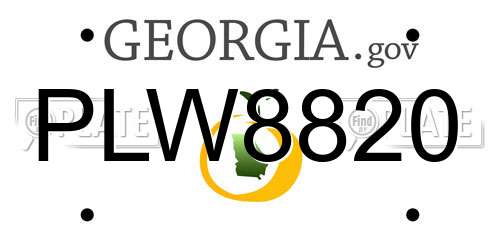 PLW8820 Georgia License Plate