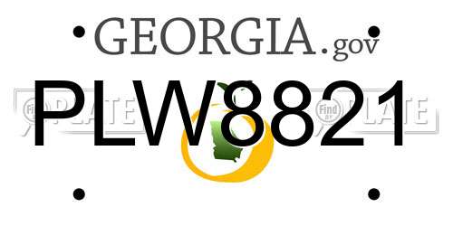 PLW8821 Georgia License Plate
