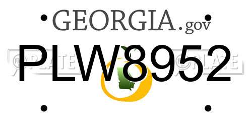 PLW8952 Georgia License Plate