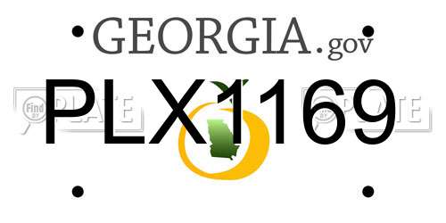 PLX1169 Georgia License Plate
