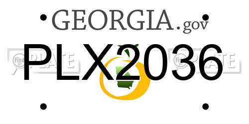 PLX2036 Georgia License Plate