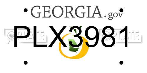 PLX3981 Georgia License Plate