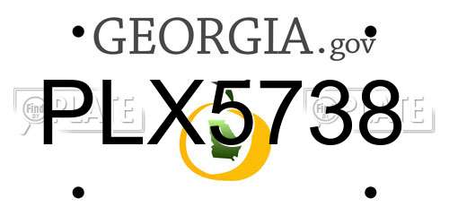 PLX5738 Georgia License Plate