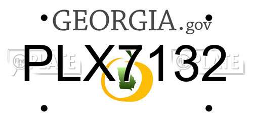 PLX7132 Georgia License Plate