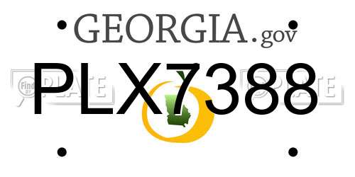 PLX7388 Georgia License Plate