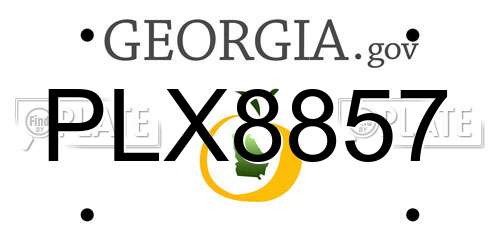 PLX8857 Georgia License Plate