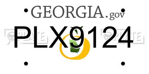 PLX9124 Georgia License Plate