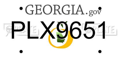 PLX9651 Georgia License Plate