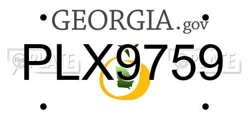 PLX9759 Georgia License Plate