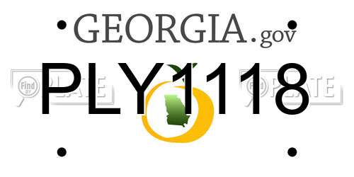 PLY1118 Georgia License Plate
