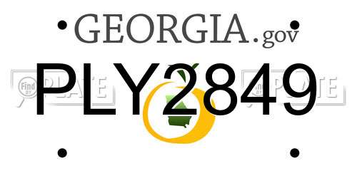 PLY2849 Georgia License Plate