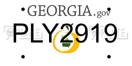 PLY2919 Georgia License Plate