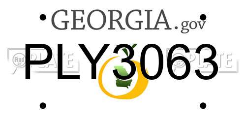 PLY3063 Georgia License Plate