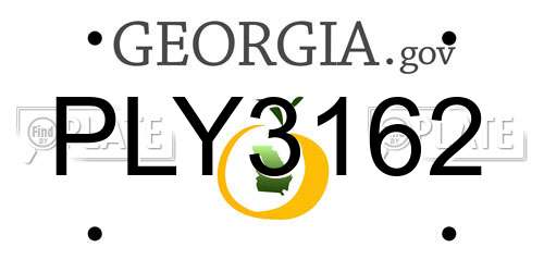 PLY3162 Georgia License Plate