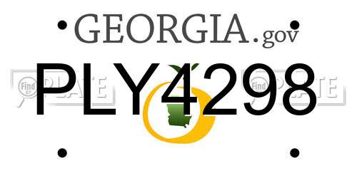 PLY4298 Georgia License Plate