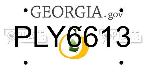 PLY6613 Georgia License Plate