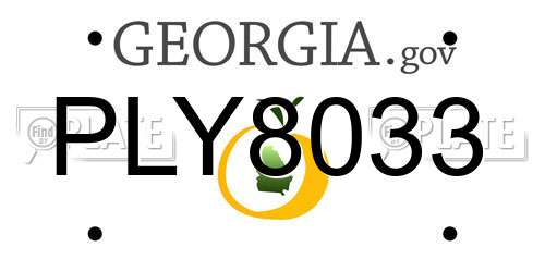 PLY8033 Georgia License Plate