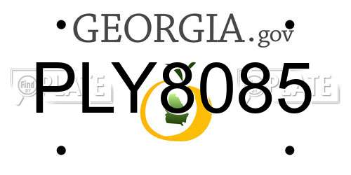 PLY8085 Georgia License Plate