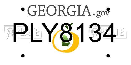 PLY8134 Georgia License Plate