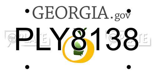 PLY8138 Georgia License Plate