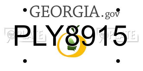 PLY8915 Georgia License Plate