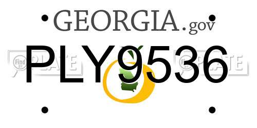PLY9536 Georgia License Plate