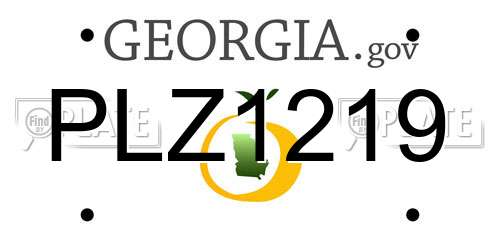 PLZ1219 Georgia License Plate