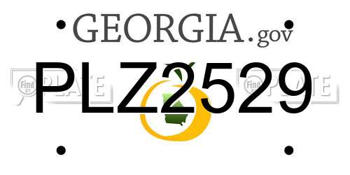 PLZ2529 Georgia License Plate