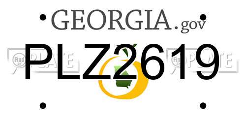 PLZ2619 Georgia License Plate
