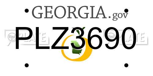 PLZ3690 Georgia License Plate
