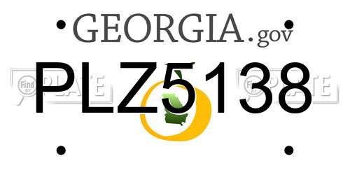PLZ5138 Georgia License Plate