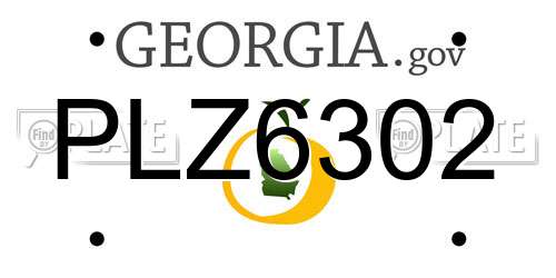 PLZ6302 Georgia License Plate