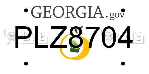 PLZ8704 Georgia License Plate