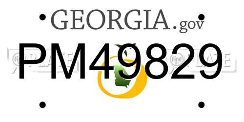 PM49829 Georgia License Plate
