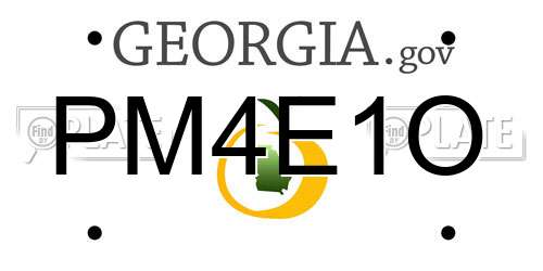 PM4E1O Georgia License Plate