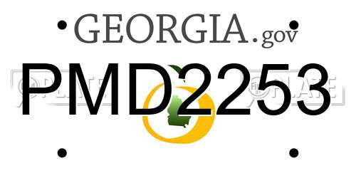 PMD2253 Georgia License Plate