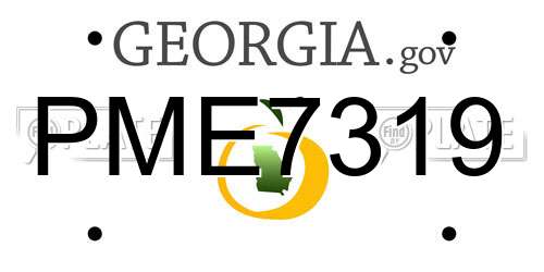 PME7319 Georgia License Plate