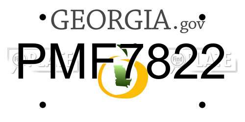PMF7822 Georgia License Plate