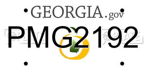 PMG2192 Georgia License Plate
