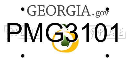 PMG3101 Georgia License Plate