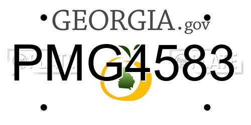 PMG4583 Georgia License Plate