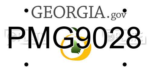 PMG9028 Georgia License Plate