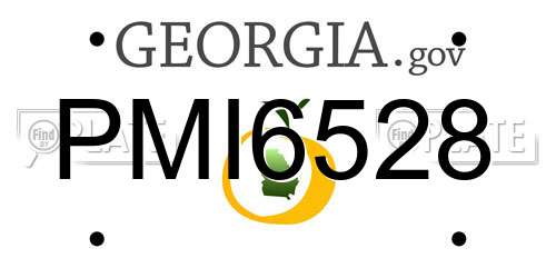 PMI6528 Georgia License Plate