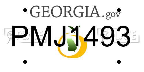 PMJ1493 Georgia License Plate