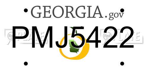 PMJ5422 Georgia License Plate