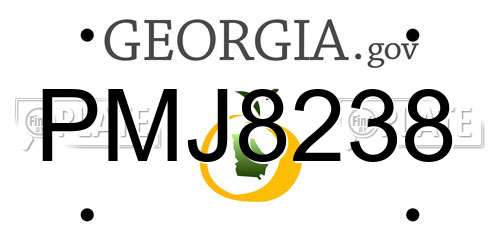 PMJ8238 Georgia License Plate