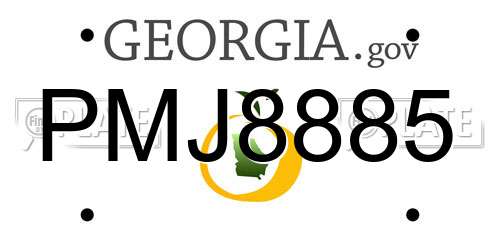 PMJ8885 Georgia License Plate