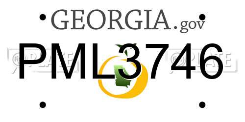 PML3746 Georgia License Plate
