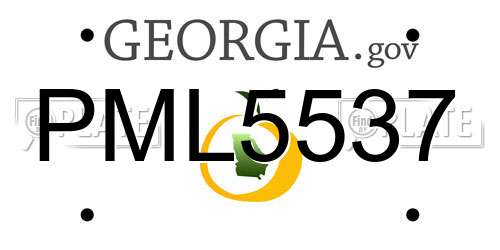 PML5537 Georgia License Plate